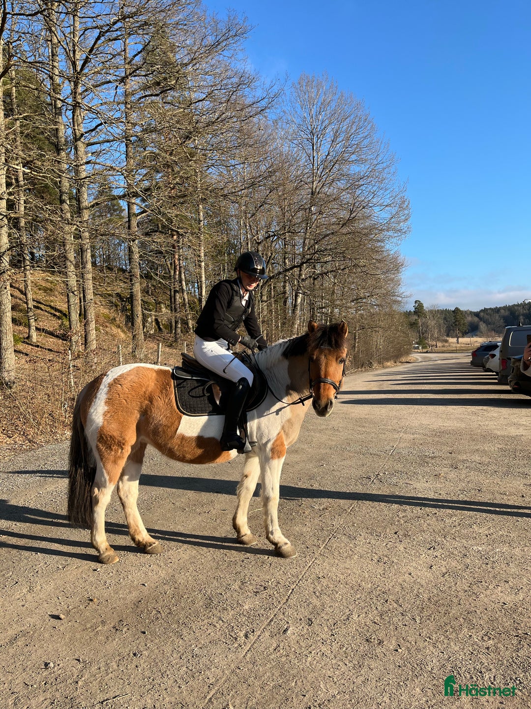 Galleribild {{count}}