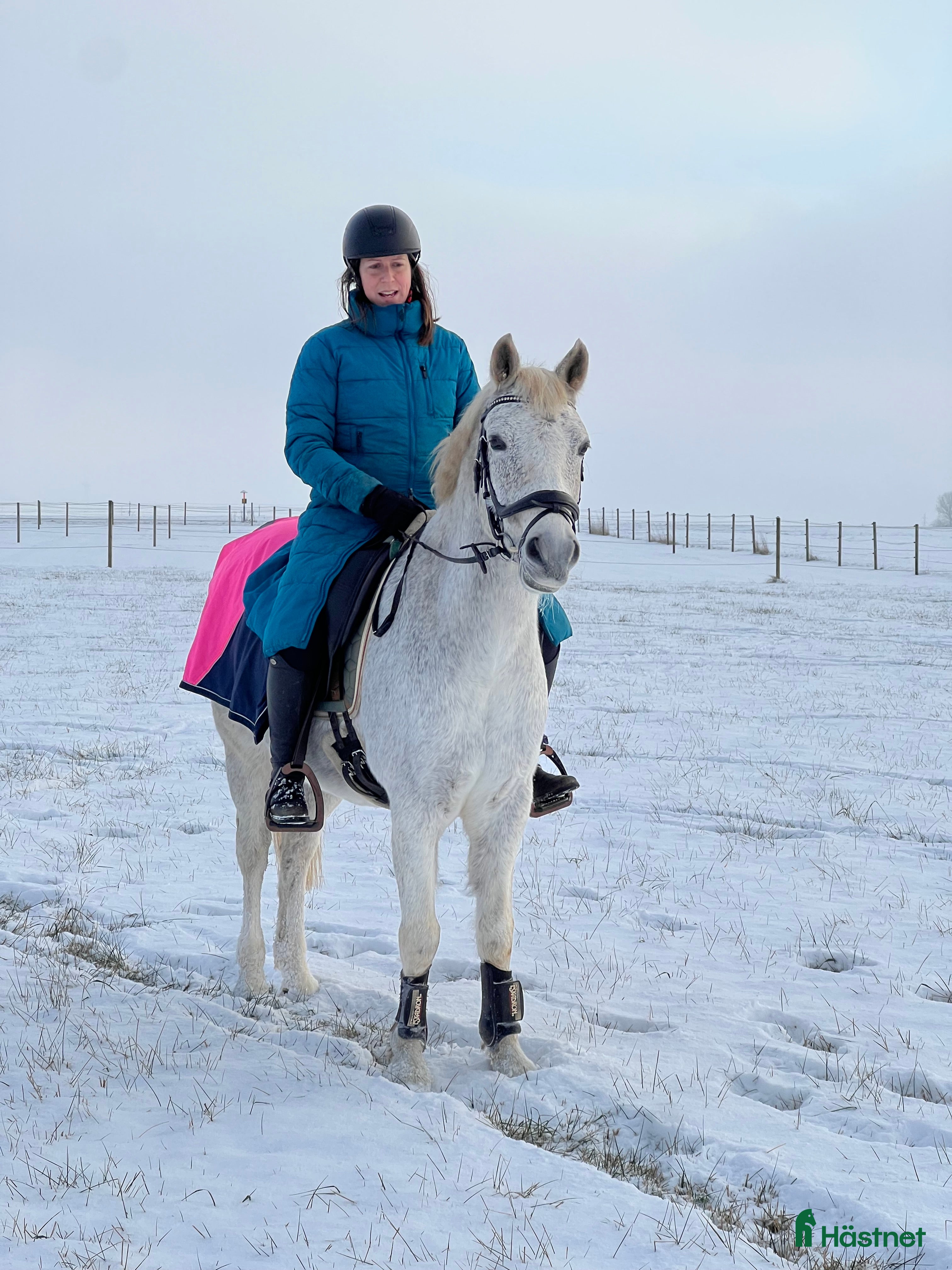  hästar  Charming D-ponny i Furulund - Annons 20