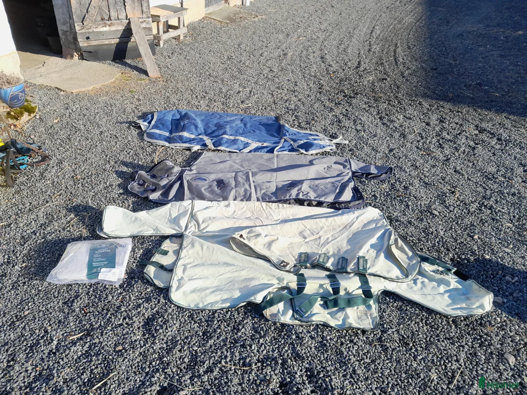 Täcken hästutrustning till salu: Täcken: Eksem, regn och vinter - Annons 1