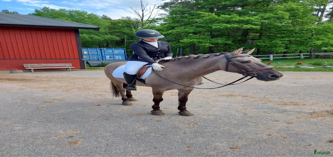 Galleribild {{count}}