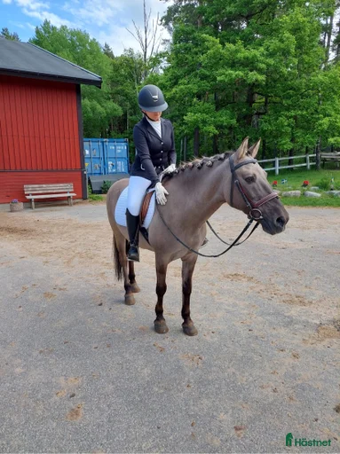 Galleribild {{count}}