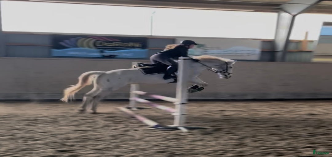 Galleribild {{count}}