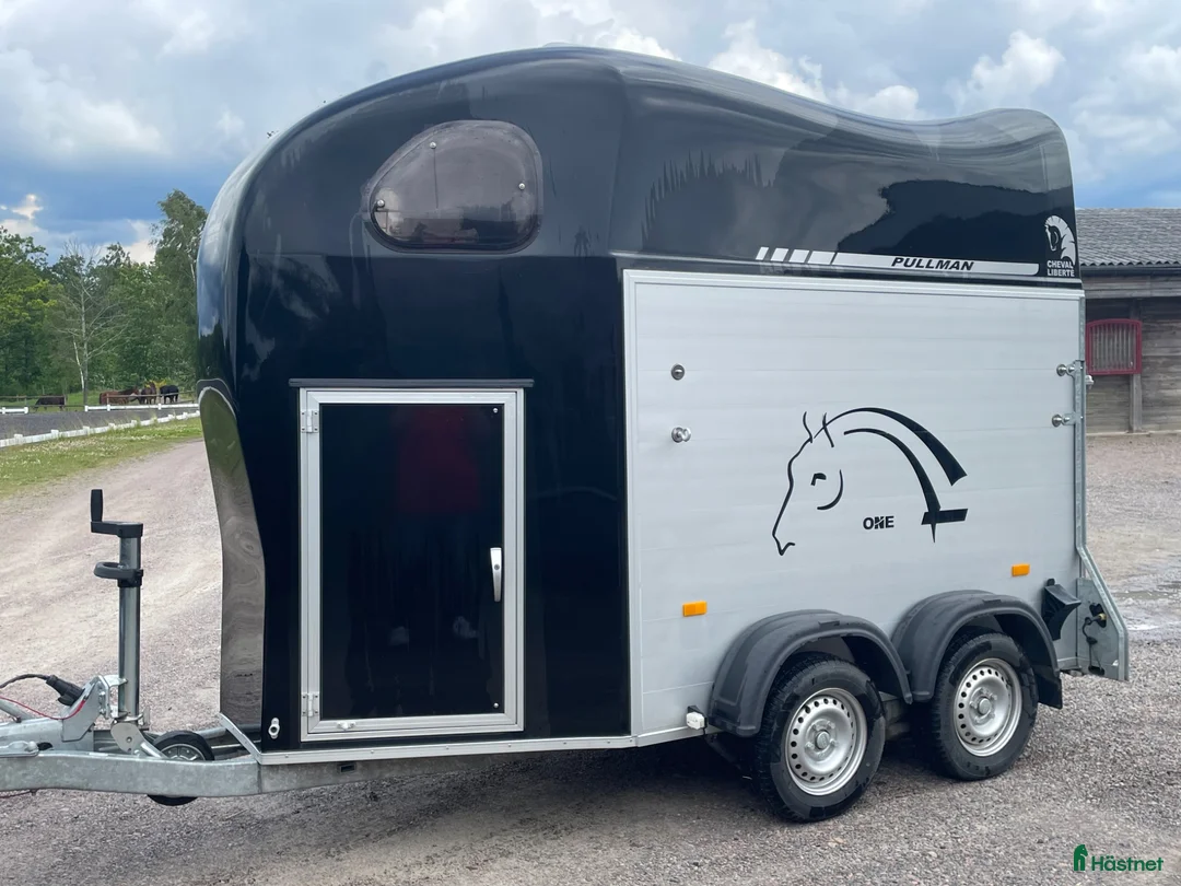 Hästtransporter  fordon & transport till salu: Mycket fin en-hästars transport  - Annons 1