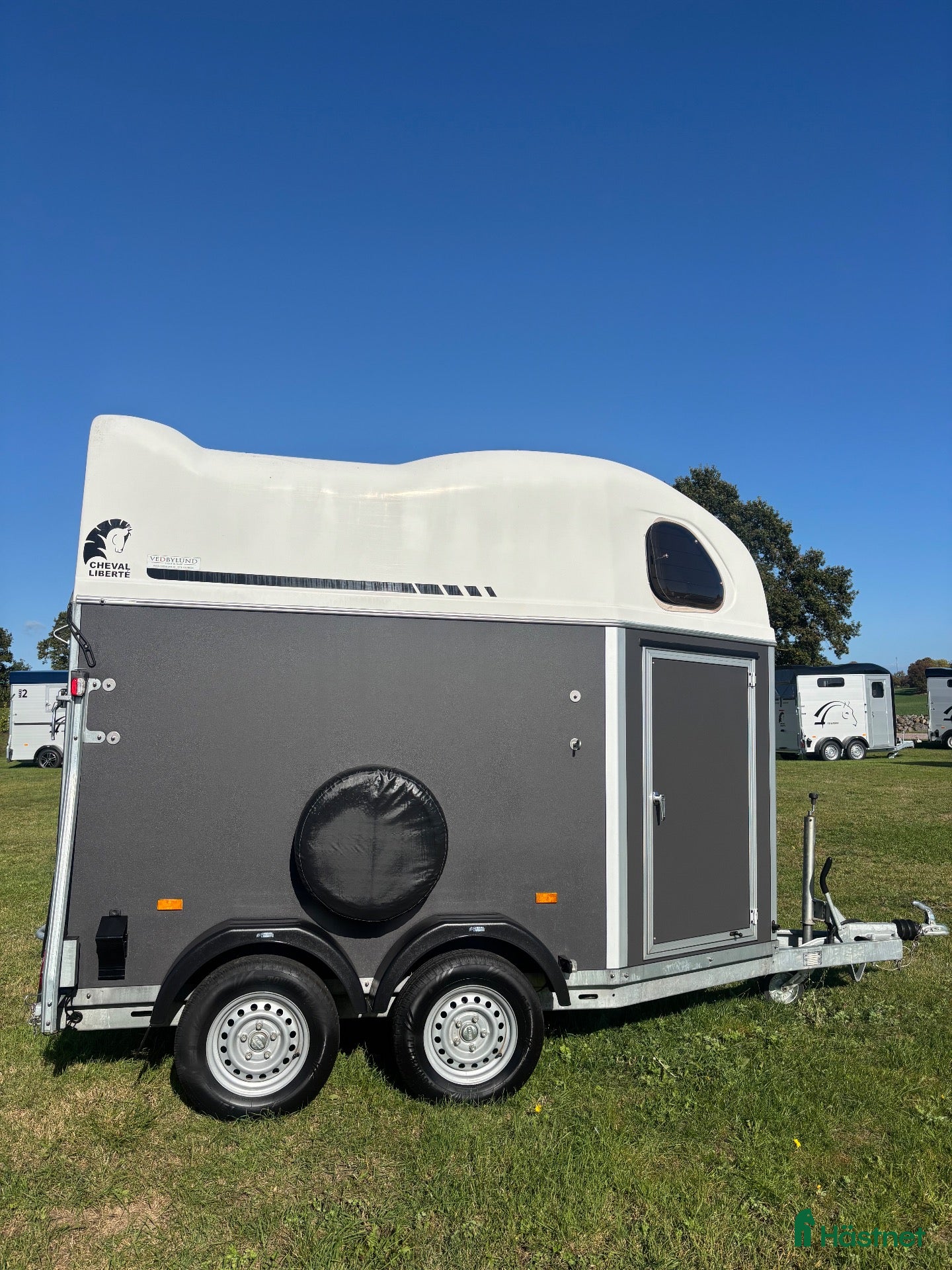 Hästtransporter  fordon & transport till salu: Cheval Gold - Annons 10
