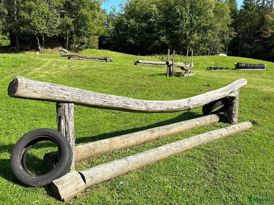  hästservice finnes: Ungdomsläger fälttävlan i Målsryd - Annons 11