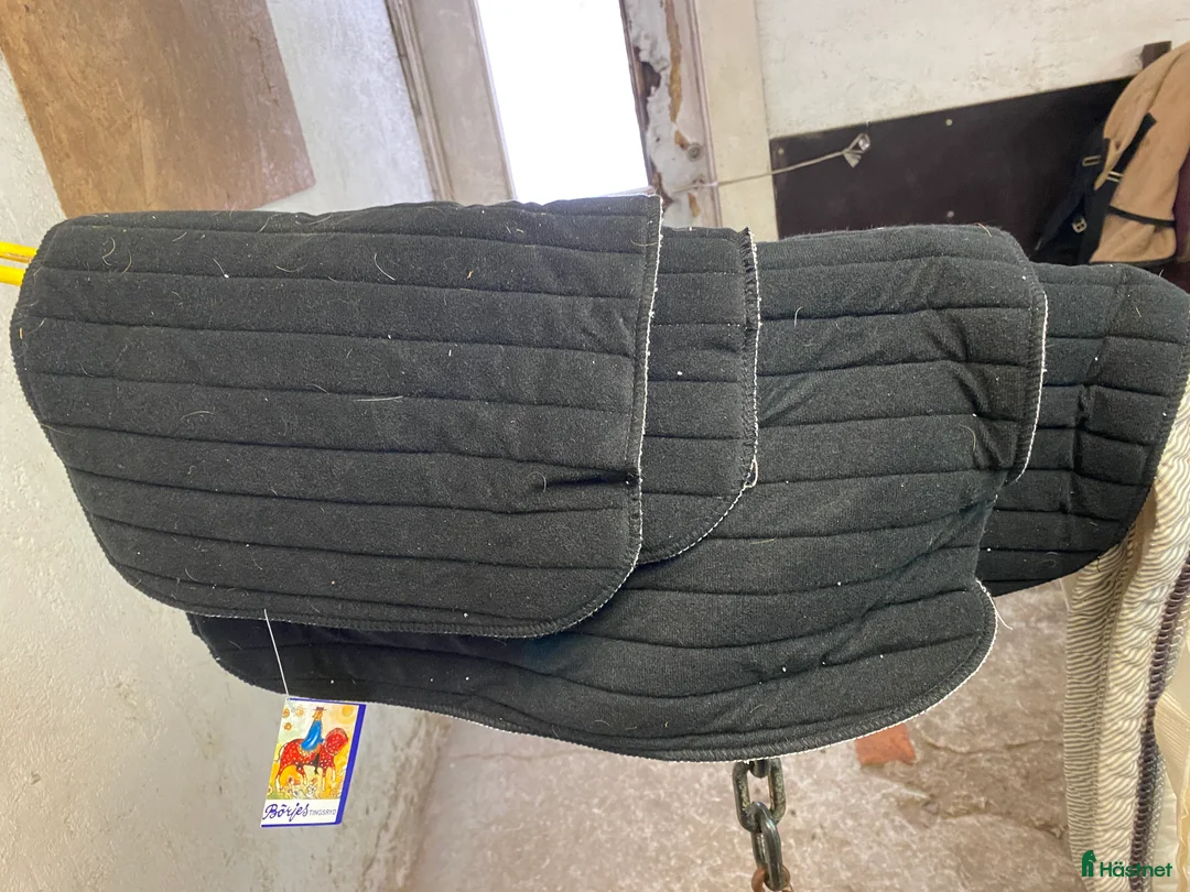 Övrig Hästutrustning hästutrustning till salu: Häst och stall utrustning  - Annons 18