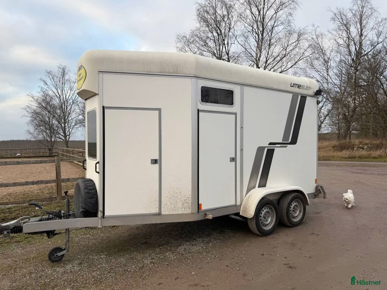 Hästtransporter  fordon & transport till salu: Populära Umesläp B60 i Västerås - Annons 2