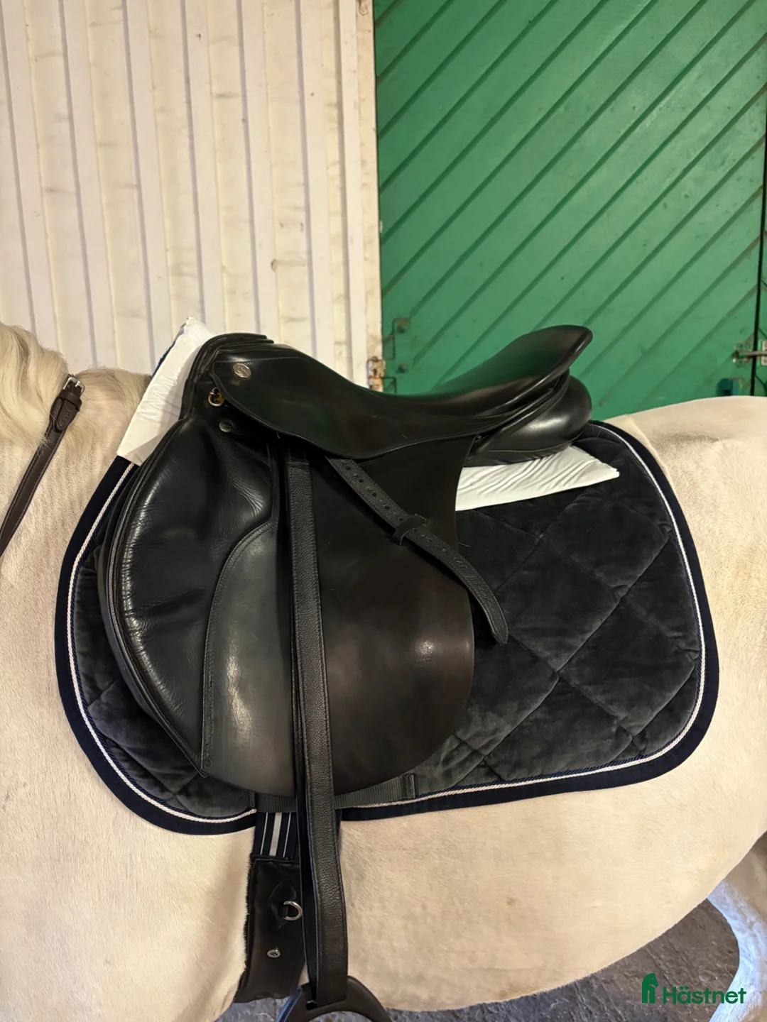 Sadlar hästutrustning till salu: Hoppsadel Kieffer Donau - Annons 2