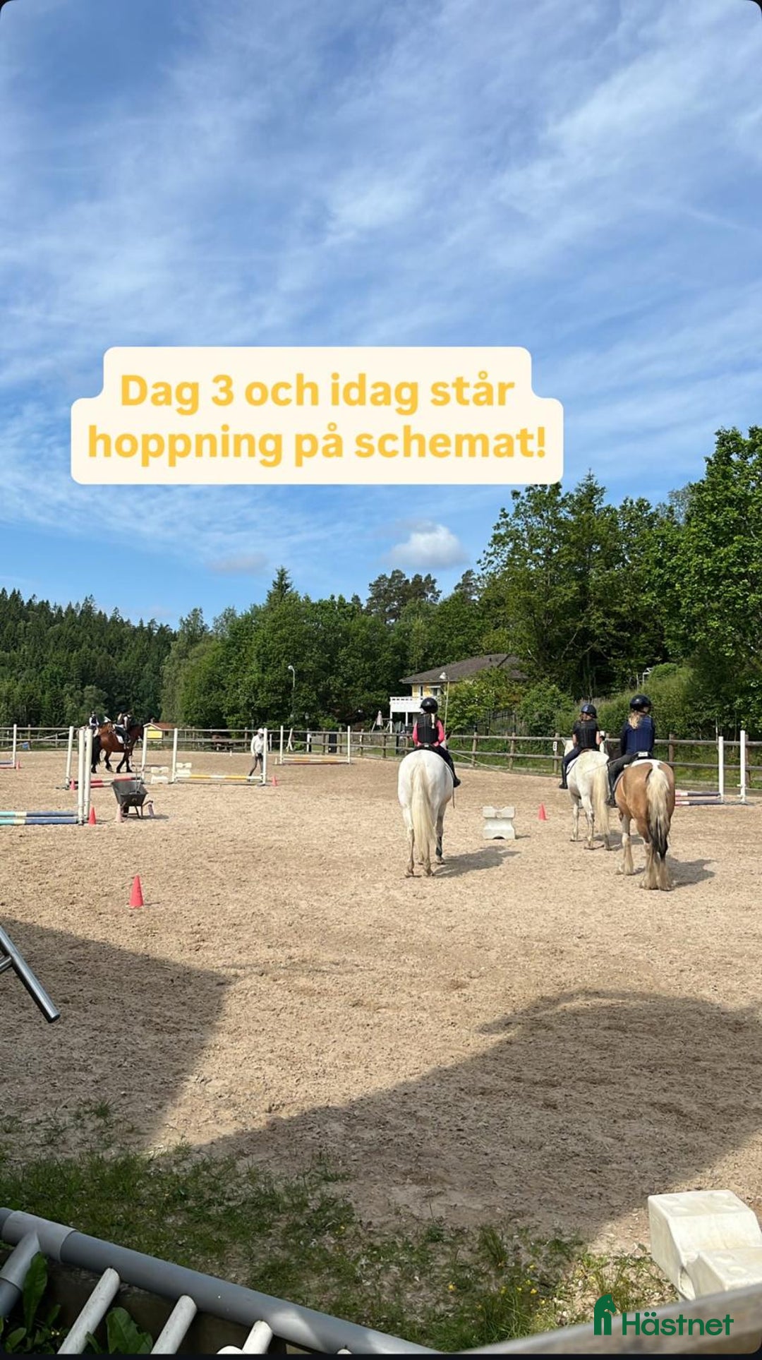 Allround hästar till salu: Har du våran stärna  i Floda - Bild 3