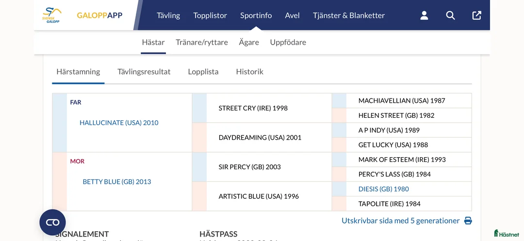 Allround hästar till salu: Fullblodshingst- framtida partner❤️ - Annons 6
