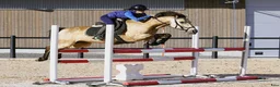 Allround hästar till salu: Ponny för hobby eller som projekt - Annons 8