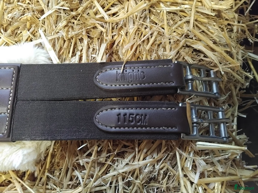 Övrig Hästutrustning hästutrustning till salu: Blandat i Löddeköpinge - Annons 14