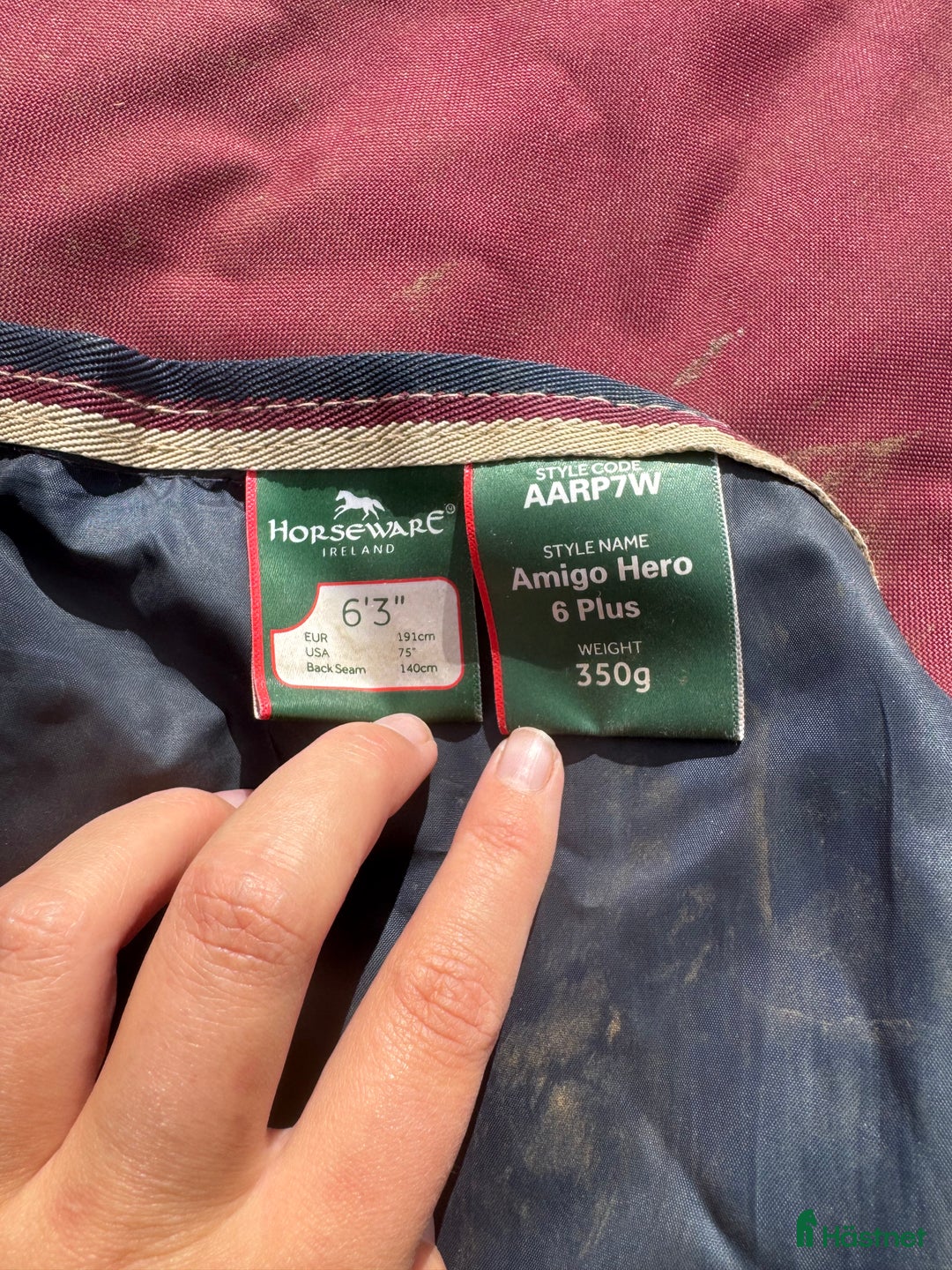 Täcken hästutrustning till salu: Amigo Hero 6 Plus 350g täcke  i Tolg - Annons 3