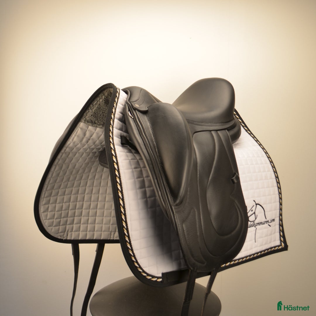 Sadlar hästutrustning till salu: Antares Tempo i Sparsör - Annons 3