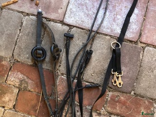 Övrig Hästutrustning hästutrustning till salu i Torup - Annons 38