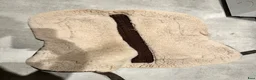 Sadeltillbehör hästutrustning till salu: Fårskinnspadd premier equine  - Annons 3