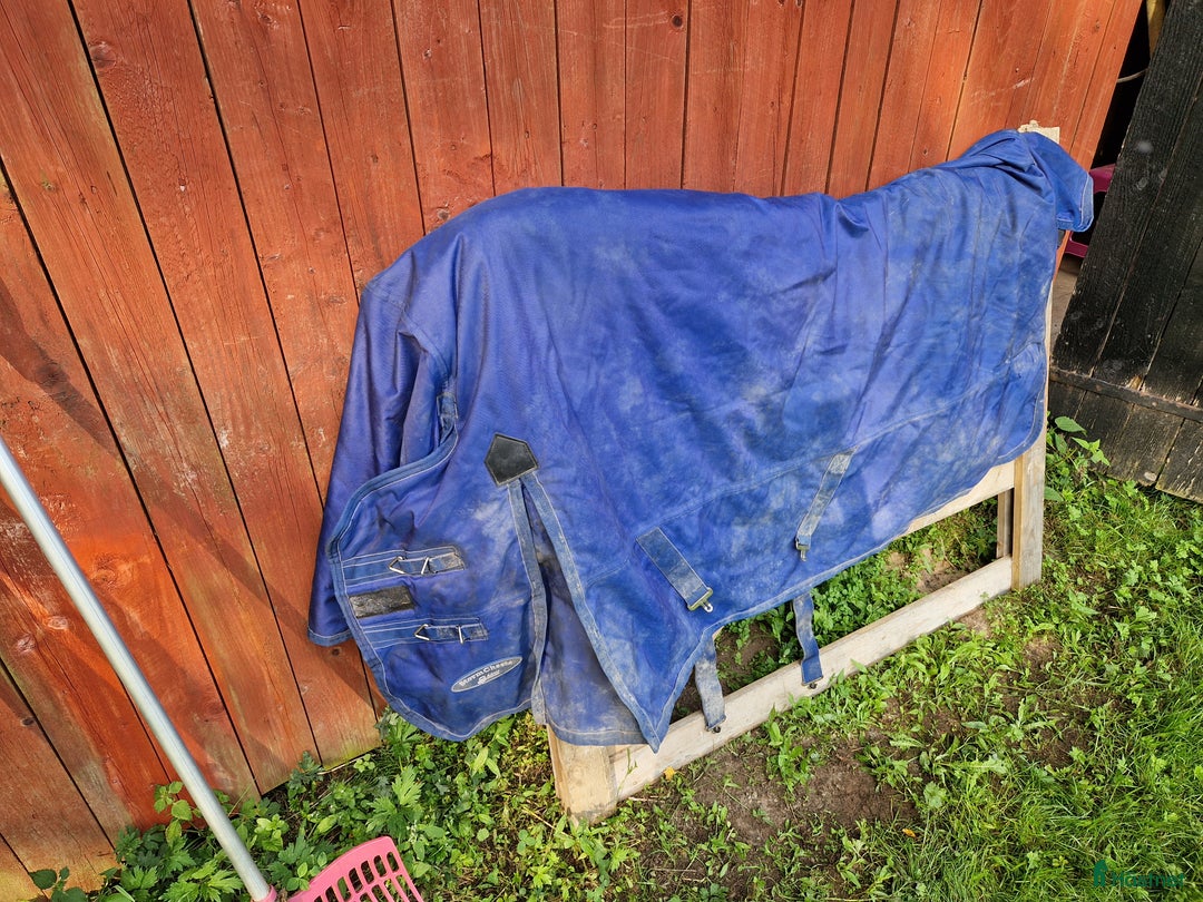 Täcken hästutrustning till salu: Massor av olika täcken  i Molkom - Annons 7