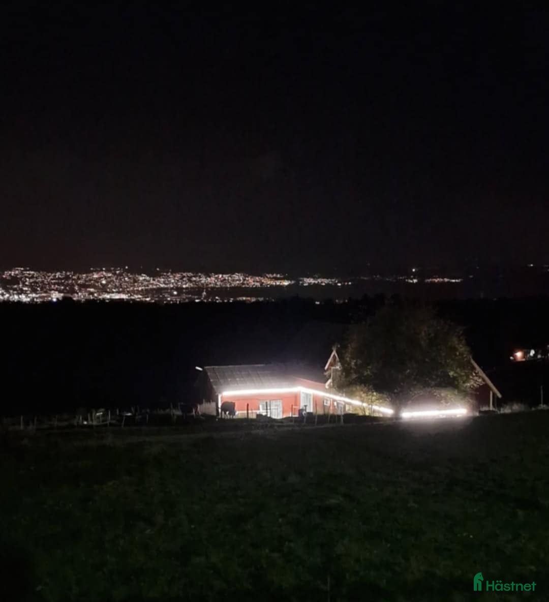  stallplats finnes: Stallplats i Jönköping - Annons 4