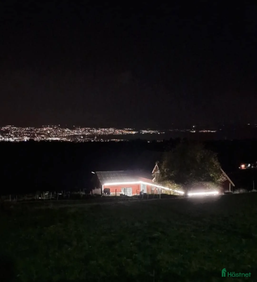  stallplats finnes: Stallplats i Jönköping - Annons 4