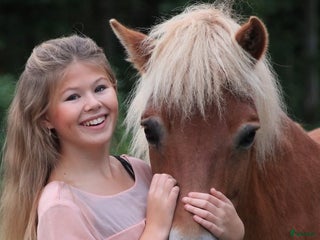 medryttarhäst sökes: Söker medryttare häst gärna runt Ängelholm!!! i Hjärnarp - Annons 11