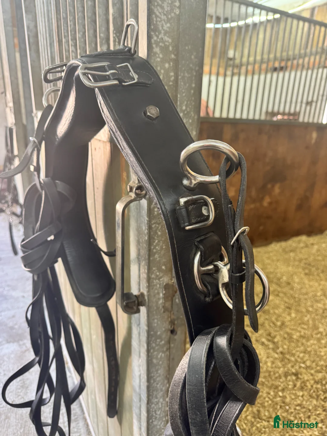 Övrig Hästutrustning hästutrustning till salu: Tömkörningsgjord med tömmar - Annons 3