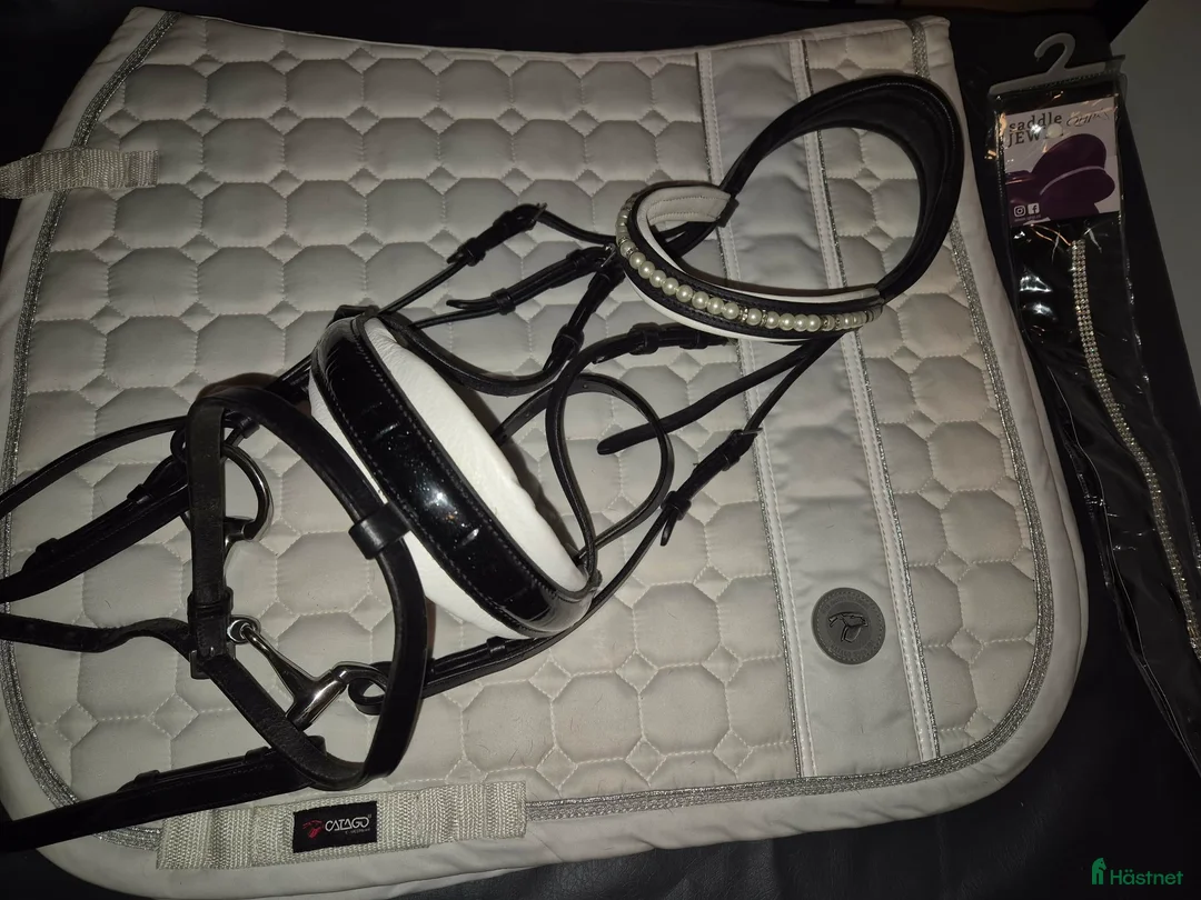 Träns hästutrustning till salu: Schabrak, träns o sadelbling i Kristinehamn - Annons 1
