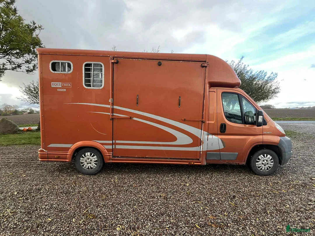 Hästlastbilar  fordon & transport till salu: Fin 3-sitsig hästlastbil med säkerhetslösning i Löderup - Annons 1