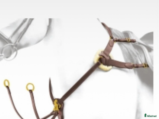 Övrig Hästutrustning hästutrustning till salu: Förbygel equipe i Eksjö - Annons 1