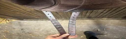 Sadlar hästutrustning till salu: Taur gaiter dressage v1 17” - Annons 5