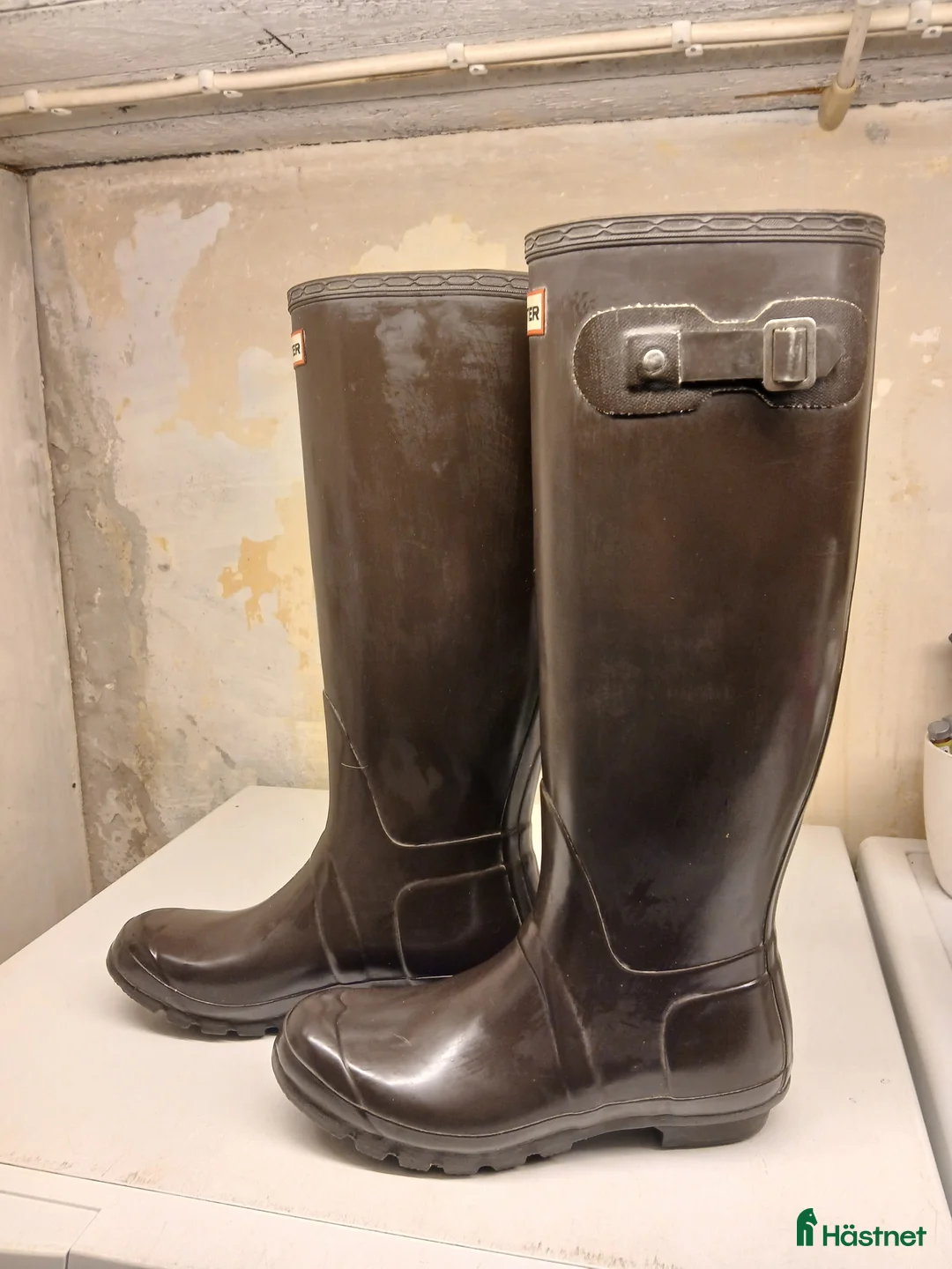 Övrig Ryttarutrustning ryttarutrustning till salu: Hunter original i Båstad - Annons 2