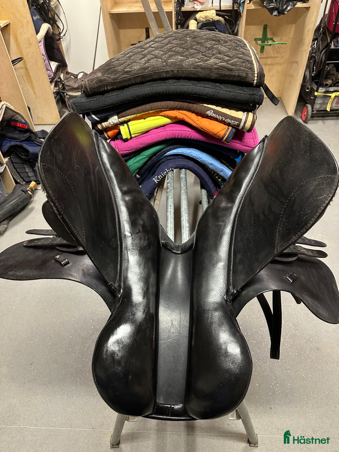 Sadlar hästutrustning till salu: Globus Esperanza i Bengtsfors - Annons 3