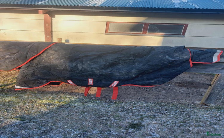 Täcken hästutrustning till salu: Rambo vintertäcke i Södertälje - Annons 8