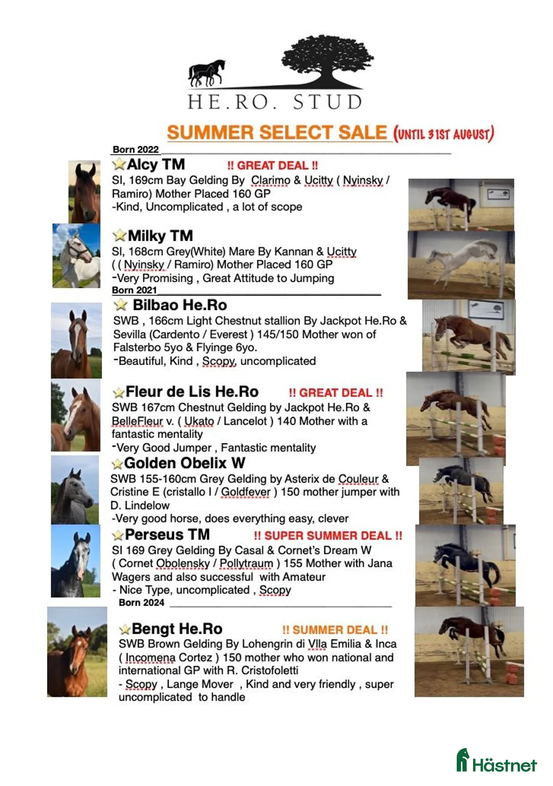 Hoppning hästar till salu: He.Ro Stud SUMMER SALE ! - Annons 1