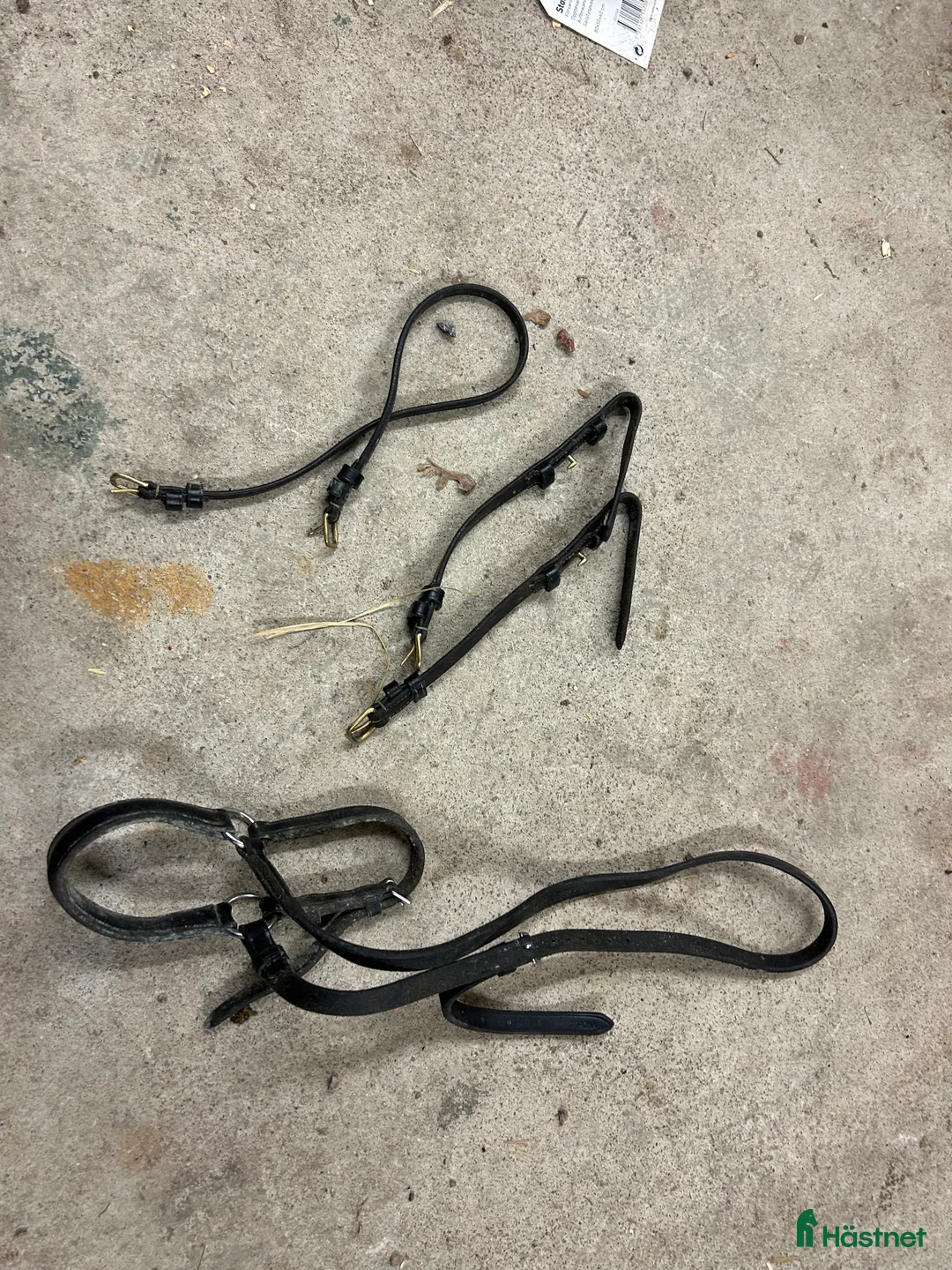 Övrig Hästutrustning hästutrustning till salu: Blandad utrustning? i Gävle - Annons 17