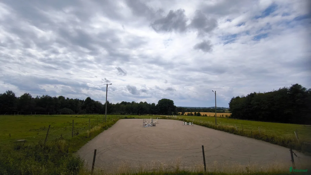  stallplats finnes: Stallplatser i Falköping  - Annons 2