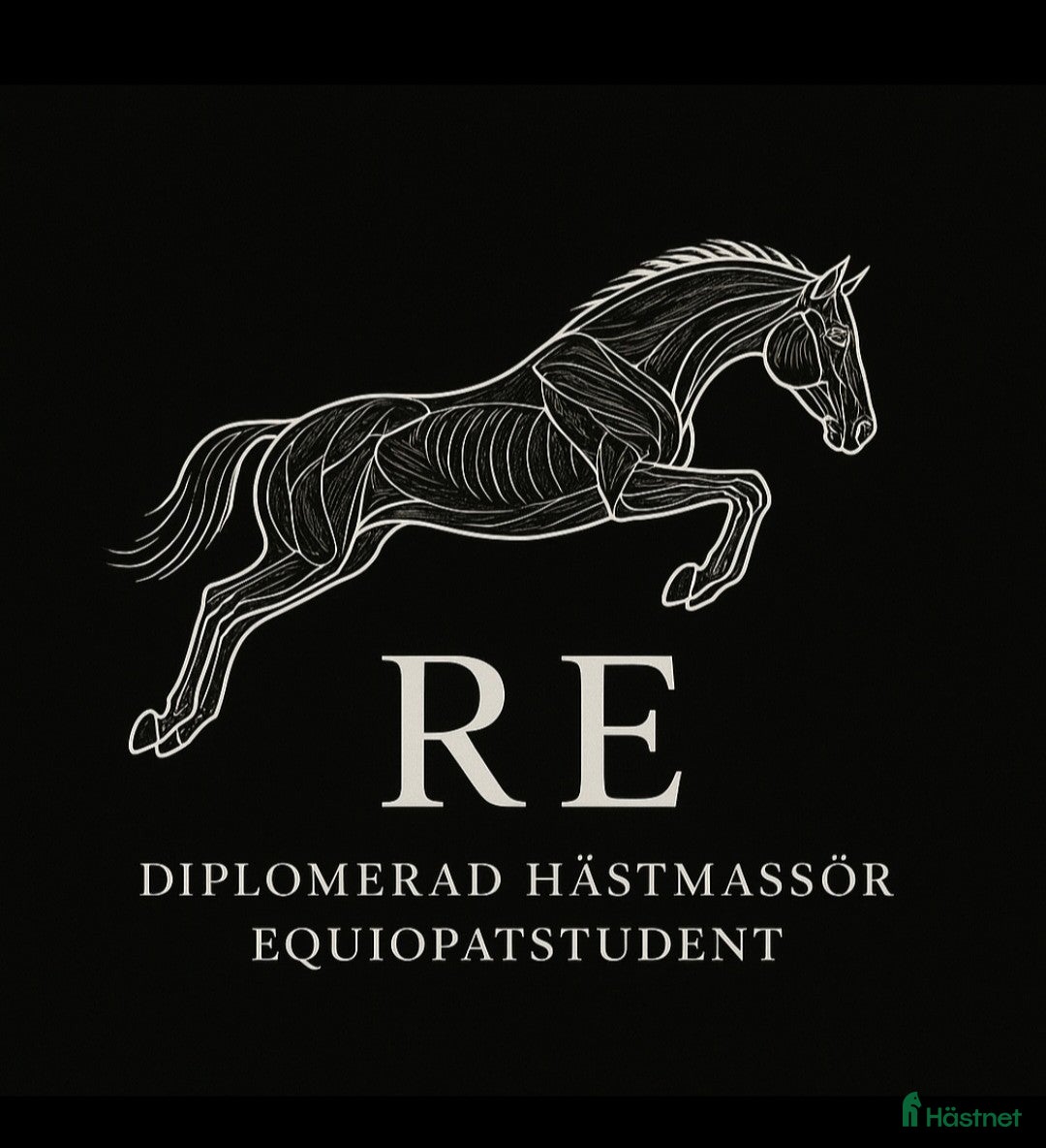  hästservice finnes: Hästmassage / equiterapi till elevpris i Vårgårda - Annons 1