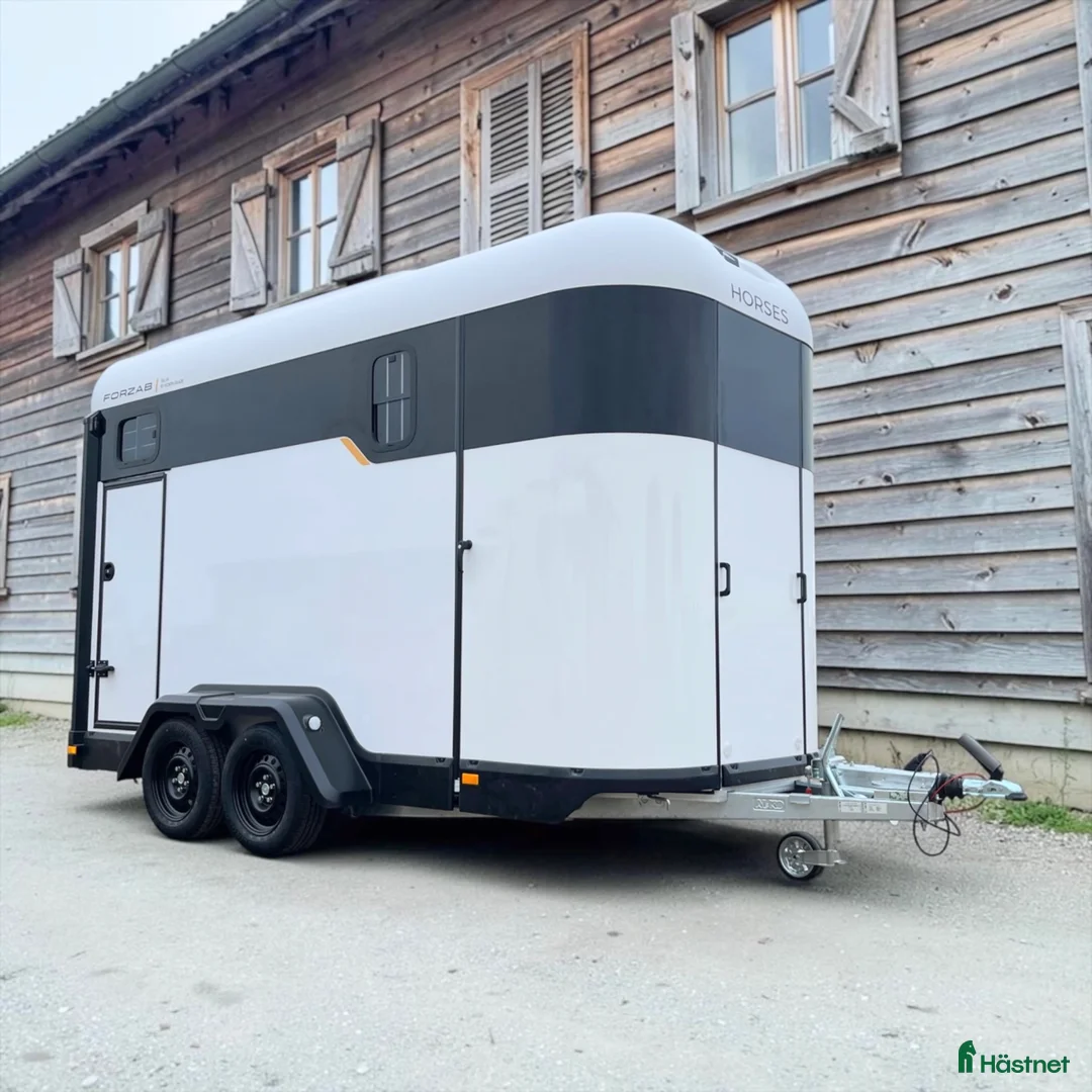 Hästtransporter  fordon & transport till salu: Falsterbo erbjudande Forzab EQ3 Stuteri - Annons 14