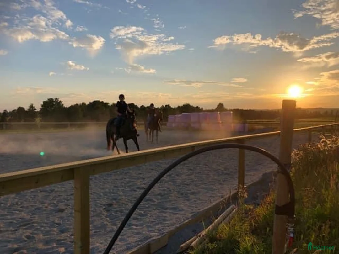  stallplats finnes: Stallplats Alingsås - Annons 9