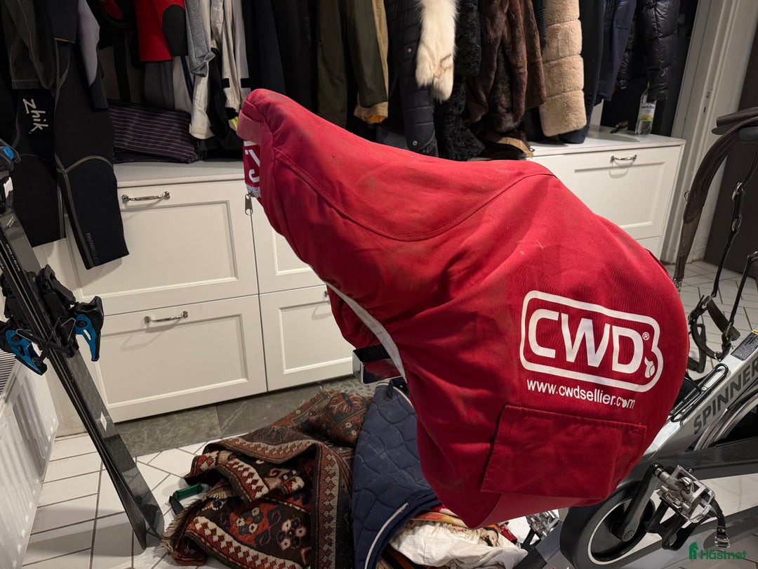 Sadlar hästutrustning till salu: CWD 2Gs hoppsadel, 17,5. Sadelgjord, stigläder! i Bromma - Annons 7