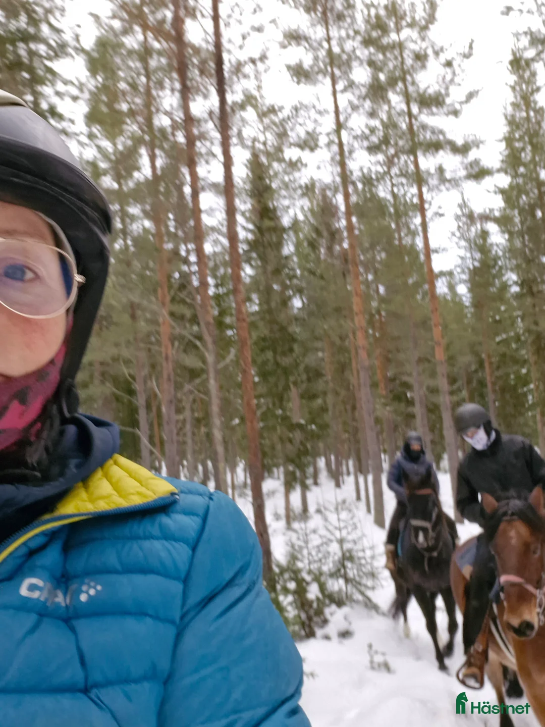 Galleribild {{count}}