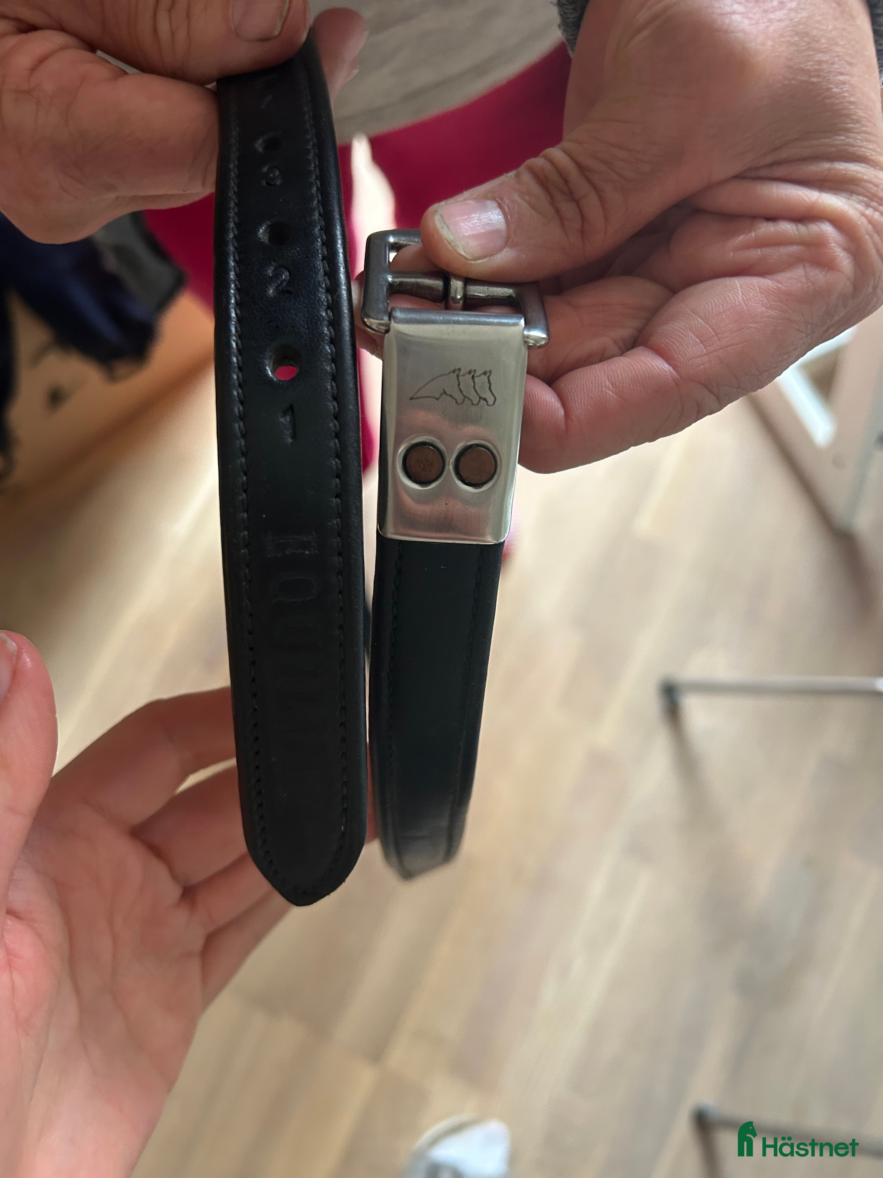 Sadeltillbehör hästutrustning till salu: Stigläder Equiline  i Täby - Annons 1