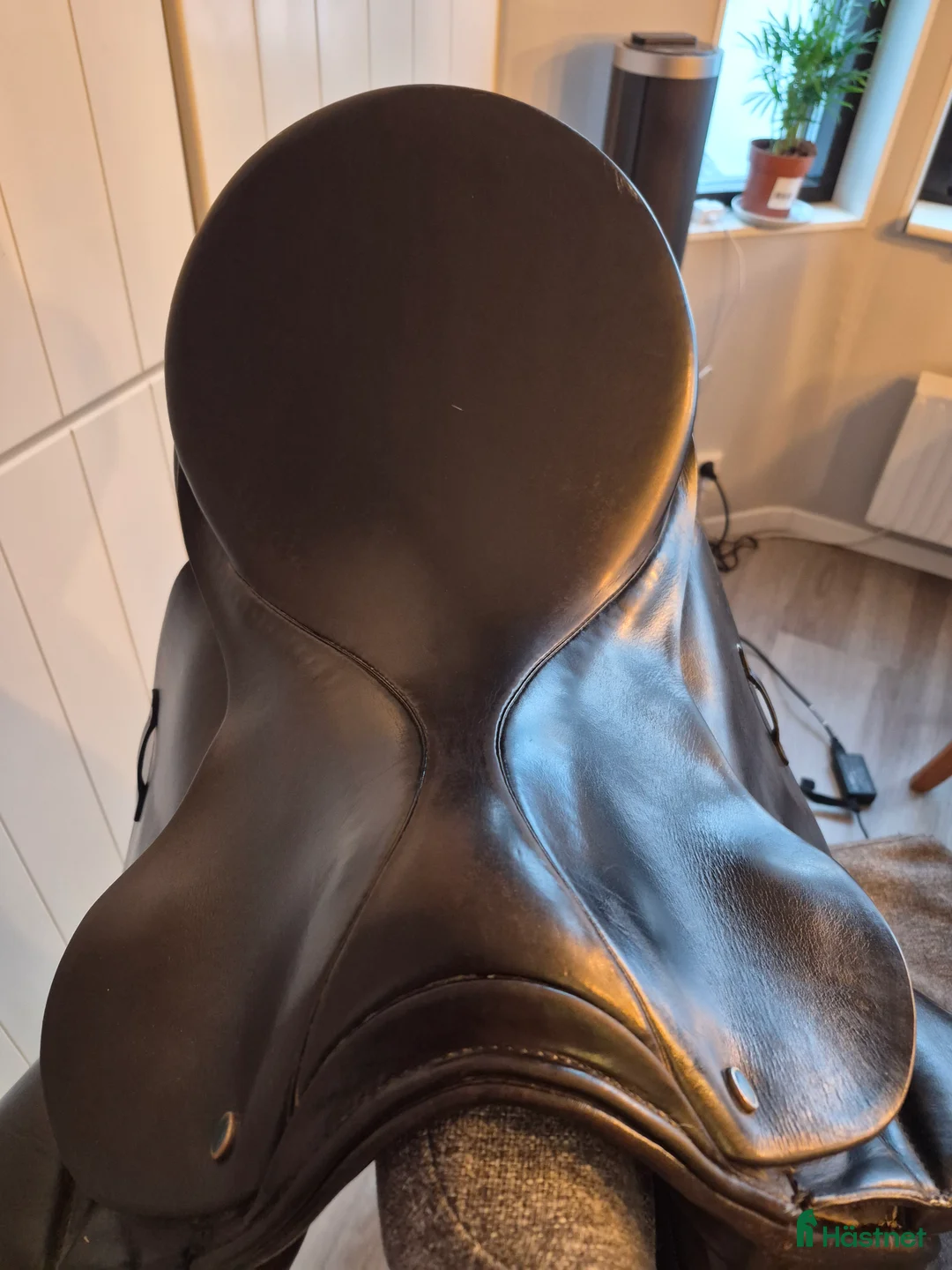 Sadlar hästutrustning till salu: Stubben tristan i Hunnebostrand - Annons 4