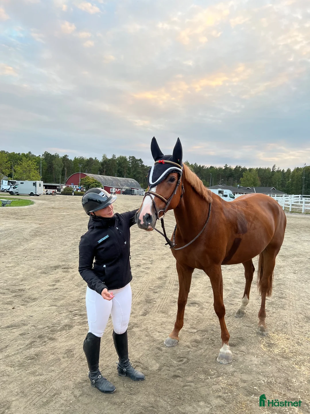 Hoppning hästar till salu: Fantastisk tjej på alla sätt och vis - Annons 2
