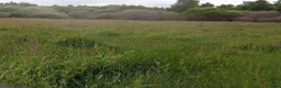  mark till salu: 14Ha Åker Betesmark& Skog 17km SV kristianstad i Kristianstad - Annons 2