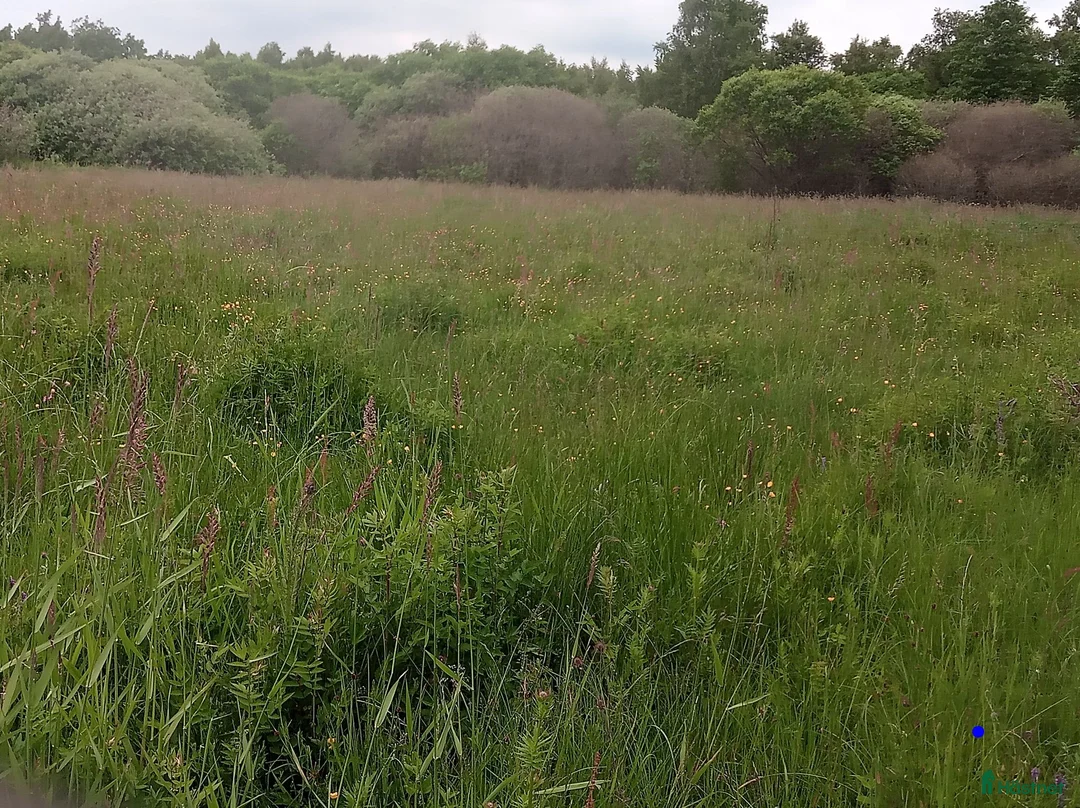  mark till salu: 14Ha Åker Betesmark& Skog 17km SV kristianstad i Kristianstad - Annons 2