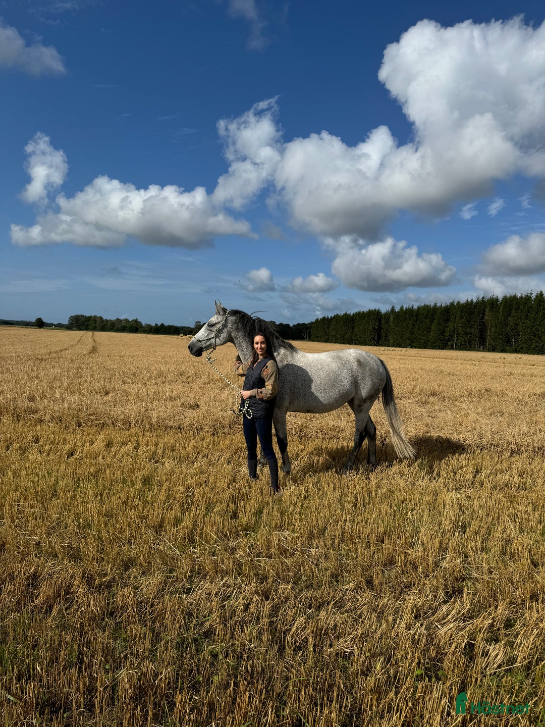 Allround hästar till salu: Min älskade Pärlan 🩷 i Ullared - Annons 8