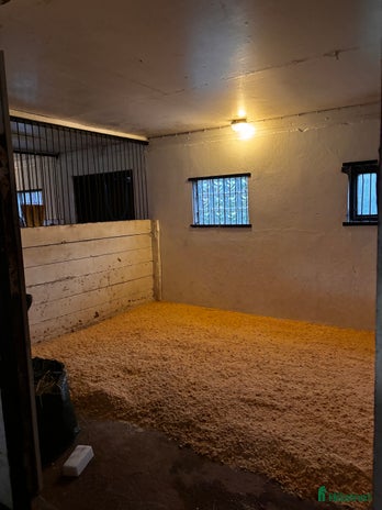 stallplats i Växjö - Annons 15