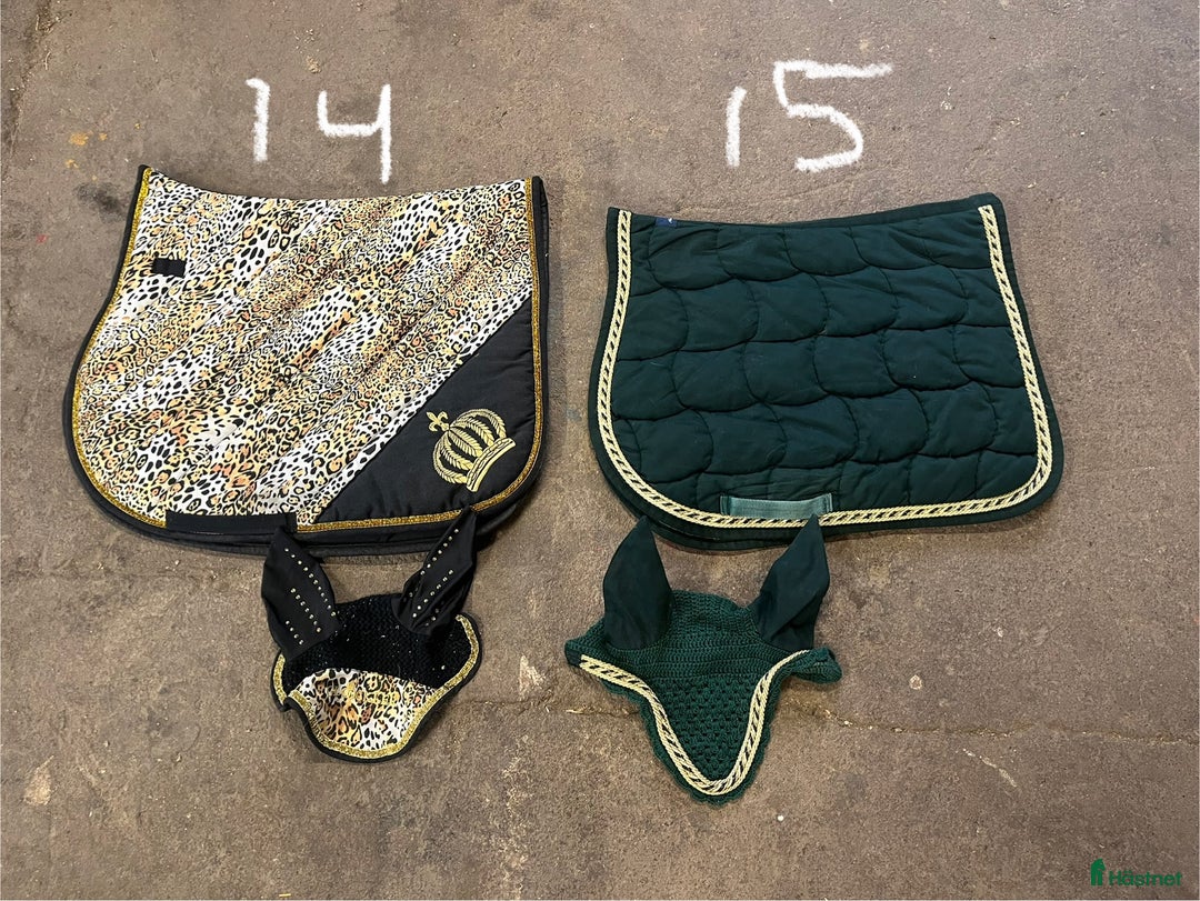 Övrig Hästutrustning hästutrustning till salu: Hästutrustning till salu i Björklinge - Annons 6