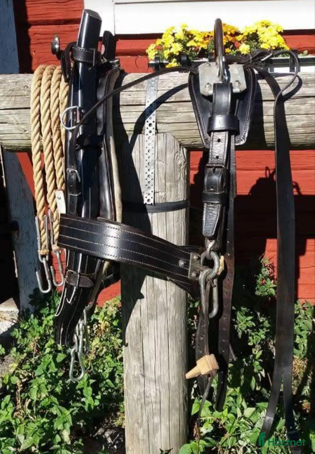 Körselar körning till salu: Fin loksele  - Annons 1