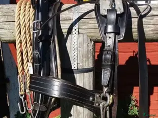 Körselar körning till salu: Fin loksele - Annons 1